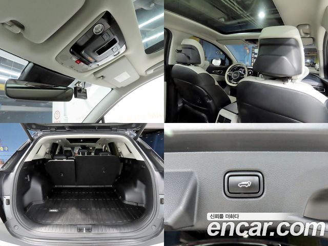 Kia Sportage (V) Gasoline 1.6 Turbo 2WD Signature Gravity 2022 — фото 23