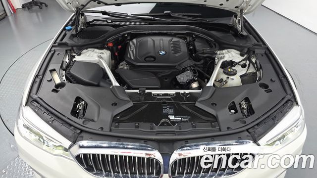 BMW 5 Series (G30) 520d xDrive Luxury Plus 2020 — фото 6