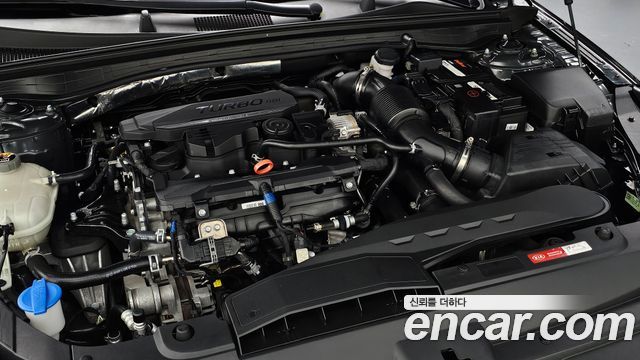 Kia K5 (III) 1.6 Turbo Noblesse 2020 — фото 6