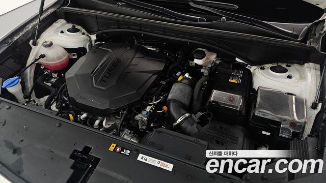 Kia Sorento (IV) Diesel 2.2 2WD Prestige 2023 — фото 6