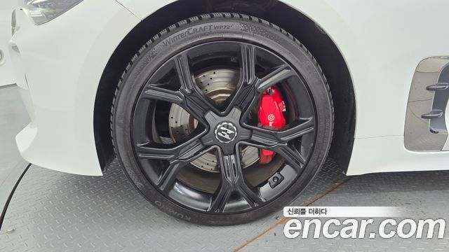 Kia Stinger 2.0 Turbo 2WD Platinum 2019 — фото 5