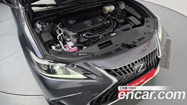 Lexus ES300h (VII) Luxury Plus 2023 — фото 6