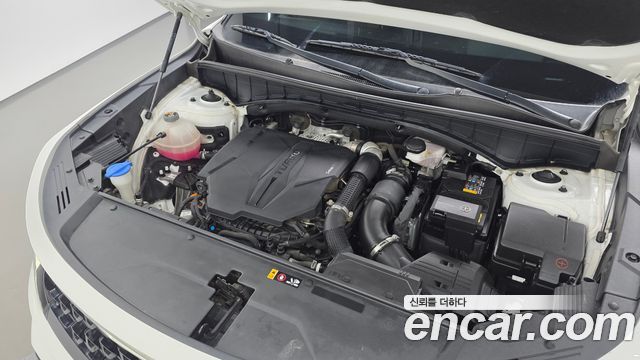 Kia Sorento (IV) Gasoline 2.5T 2WD Noblesse 2023 — фото 6