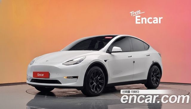 Tesla Model Y Long Range AWD 2021 — фото 1