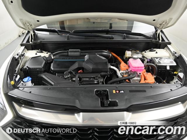 Kia Sportage Hybrid (V) Nobleless 2WD 2024 — фото 6