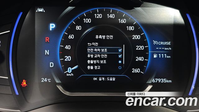 Hyundai Santa Fe (TM) Diesel 2.0 2WD Inspiration 2019 — фото 39