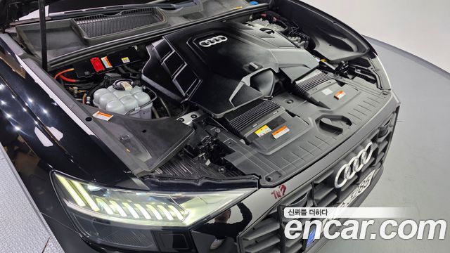 Audi Q8 (4M) 55 TFSI Quattro Premium 2023 — фото 6