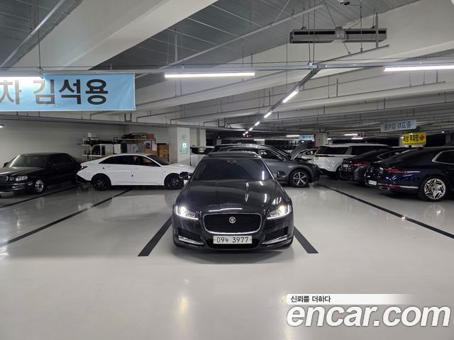 Jaguar XF (X260) 20d Prestige