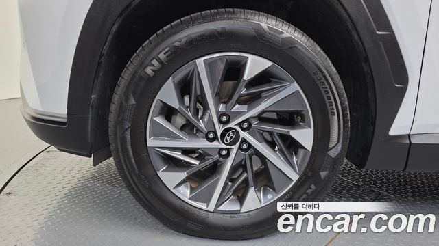 Hyundai Tucson (NX4) Diesel 2.0 2WD Premium 2023 — фото 5