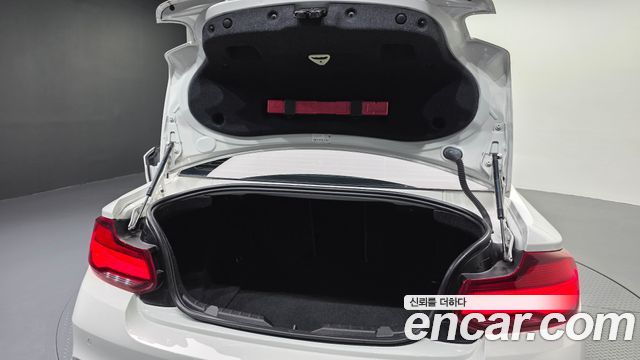 BMW 2 Series (F22) 220d M Sport Coupe 2014 — фото 20