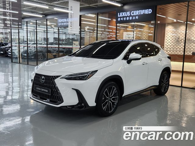 Lexus NX350h (II) Luxury