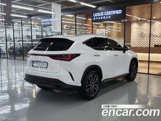 Lexus NX350h (II) Luxury 2026 — фото 2