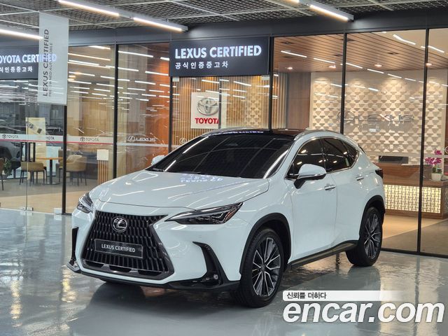 Lexus NX350h (II) Luxury