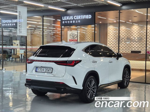 Lexus NX350h (II) Luxury 2026 — фото 2