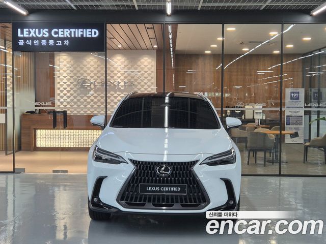 Lexus NX350h (II) Luxury 2026 — фото 3
