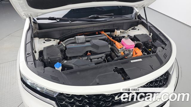 Kia Sorento (IV) HEV 1.6 2WD Noblesse 2023 — фото 6