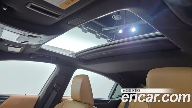 Lexus ES300h (VII) Executive 2019 — фото 16