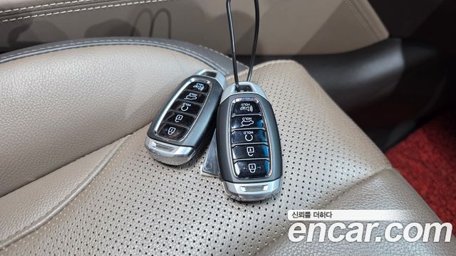 Hyundai Santa Fe (TM) Gasoline 2.0T 4WD Prestige 2020 — фото 19