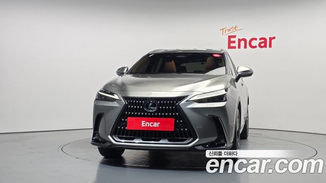 Lexus NX350h (II) Premium 2025 — фото 3