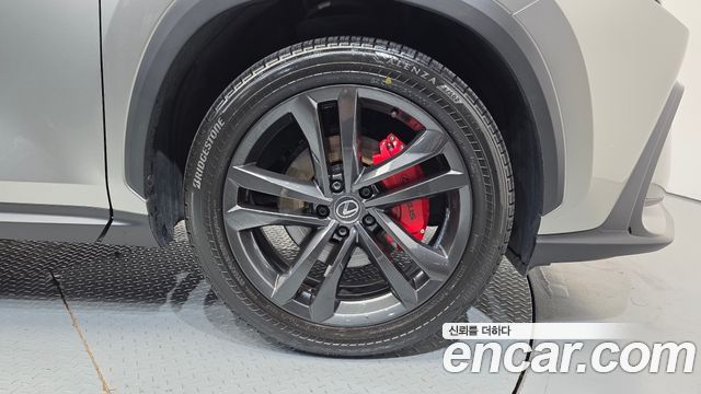 Lexus NX350h (II) Premium 2025 — фото 5