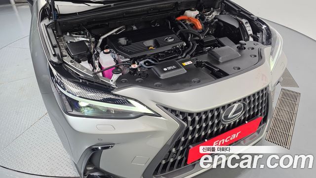 Lexus NX350h (II) Premium 2025 — фото 6