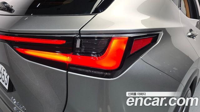 Lexus NX350h (II) Premium 2025 — фото 23
