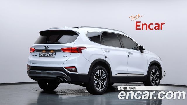 Hyundai Santa Fe (TM) Diesel 2.0 2WD Exclusive Special 2019 — фото 2