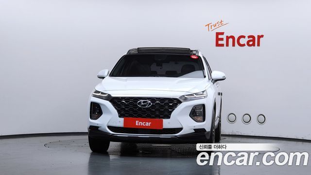 Hyundai Santa Fe (TM) Diesel 2.0 2WD Exclusive Special 2019 — фото 3
