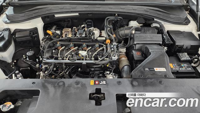 Hyundai Santa Fe (TM) Diesel 2.0 2WD Exclusive Special 2019 — фото 6