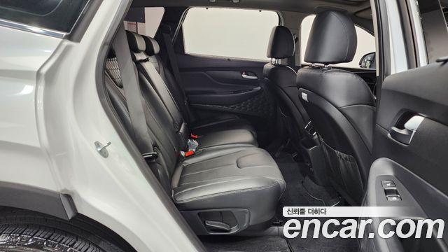 Hyundai Santa Fe (TM) Diesel 2.0 2WD Exclusive Special 2019 — фото 15