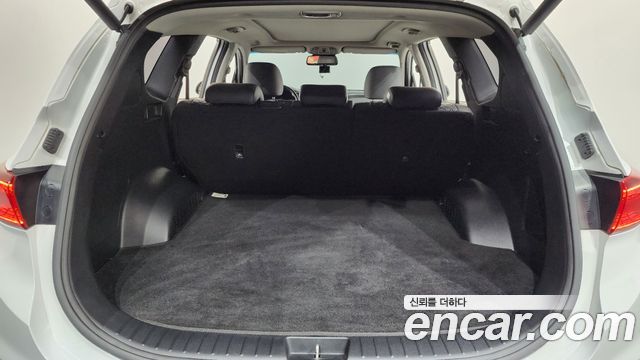 Hyundai Santa Fe (TM) Diesel 2.0 2WD Exclusive Special 2019 — фото 24