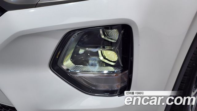 Hyundai Santa Fe (TM) Diesel 2.0 2WD Exclusive Special 2019 — фото 28