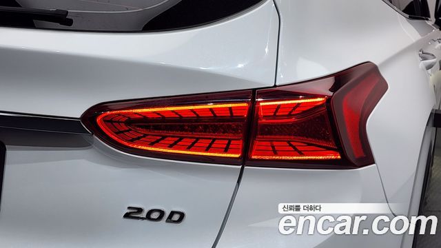 Hyundai Santa Fe (TM) Diesel 2.0 2WD Exclusive Special 2019 — фото 29