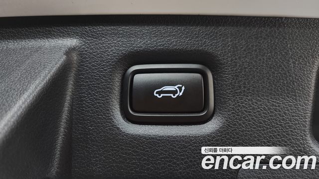 Hyundai Santa Fe (TM) Diesel 2.0 2WD Exclusive Special 2019 — фото 33