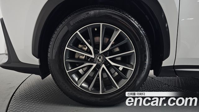 Lexus NX450h+ (II) Premium 2022 — фото 5