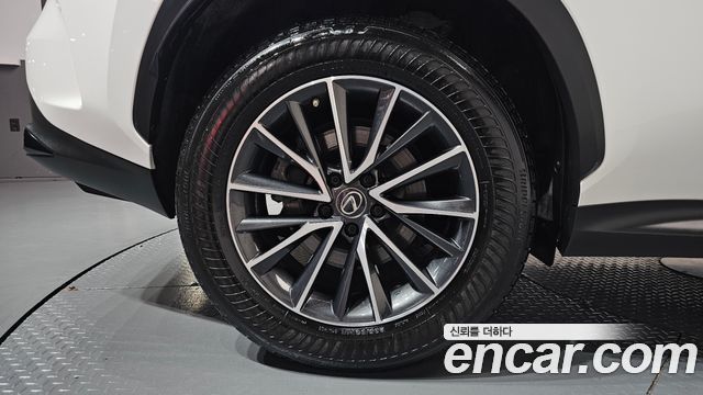 Lexus NX450h+ (II) Premium 2022 — фото 21