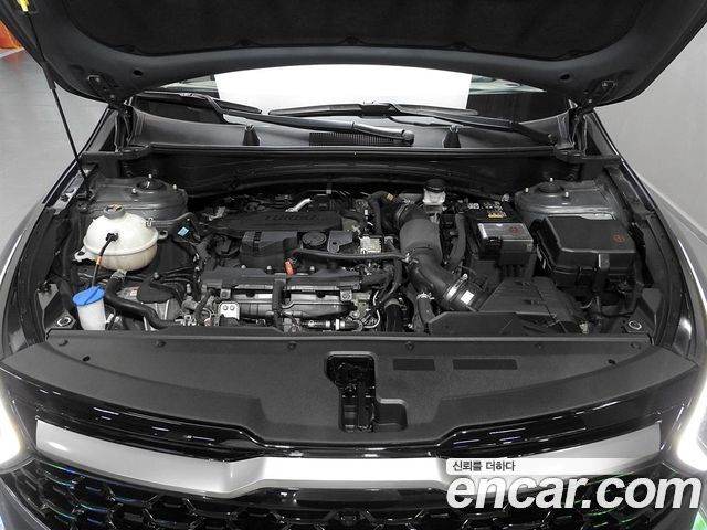 Kia Sportage (V) Gasoline 1.6 Turbo 2WD Signature Gravity 2023 — фото 7