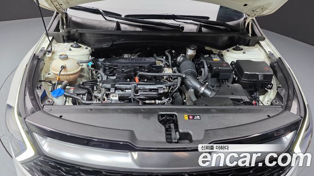 Kia Sportage (V) Gasoline 1.6 Turbo 2WD Prestige 2022 — фото 6
