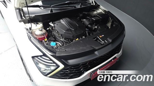Kia Sportage (V) Diesel 2.0 2WD Nobleless 2023 — фото 6