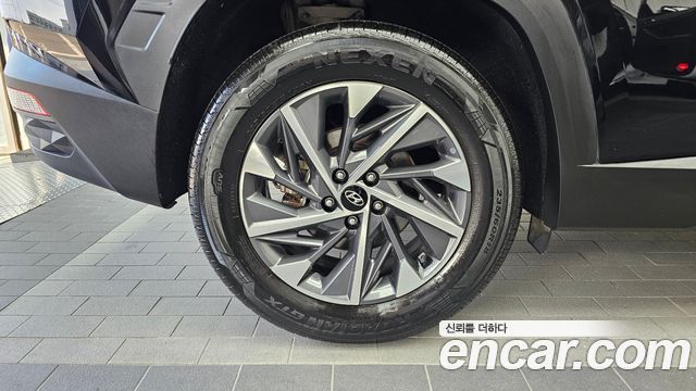 Hyundai Tucson (NX4) Diesel 2.0 2WD Premium 2023 — фото 5