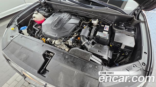 Hyundai Tucson (NX4) Diesel 2.0 2WD Premium 2023 — фото 6