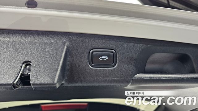 Hyundai Palisade Diesel 2.2 2WD Exclusive 2024 — фото 20