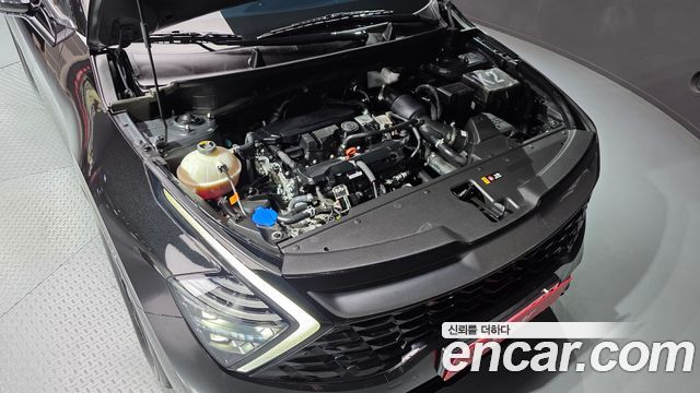 Kia Sportage (V) Gasoline 1.6 Turbo 2WD Signature 2023 — фото 6