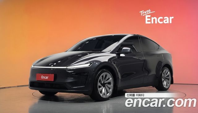 Tesla Model Y Long Range AWD 2025 — фото 1