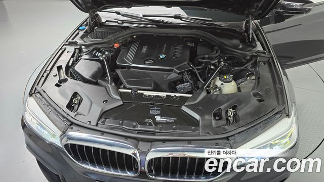 BMW 5 Series (G30) 520d xDrive M Sport Package Plus 2017 — фото 6