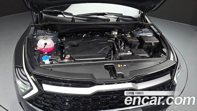 Kia Sportage (V) LPG 2.0 2WD Signature Gravity 2024 — фото 6
