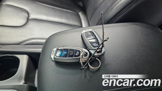 Hyundai Santa Fe (TM) Diesel 2.2 2WD Exclusive 2019 — фото 16