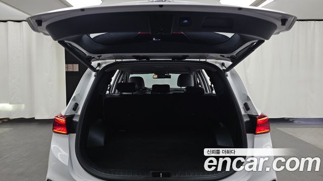 Hyundai Santa Fe (TM) Diesel 2.2 2WD Exclusive 2019 — фото 19