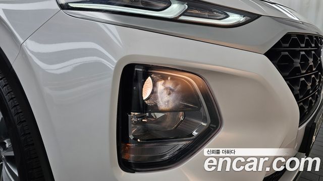 Hyundai Santa Fe (TM) Diesel 2.2 2WD Exclusive 2019 — фото 22