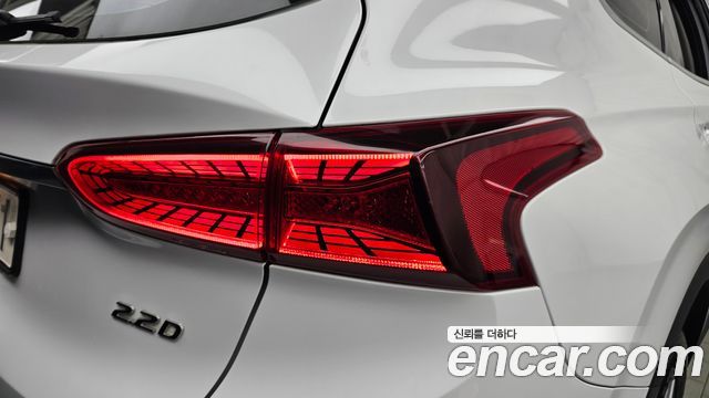 Hyundai Santa Fe (TM) Diesel 2.2 2WD Exclusive 2019 — фото 23